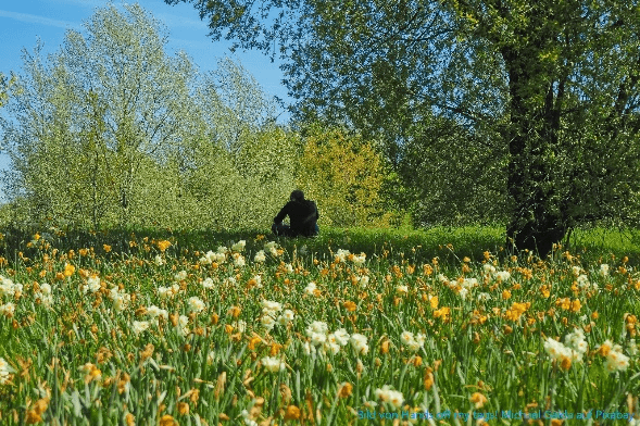 Lieder, Stille und Worte für die Seele
