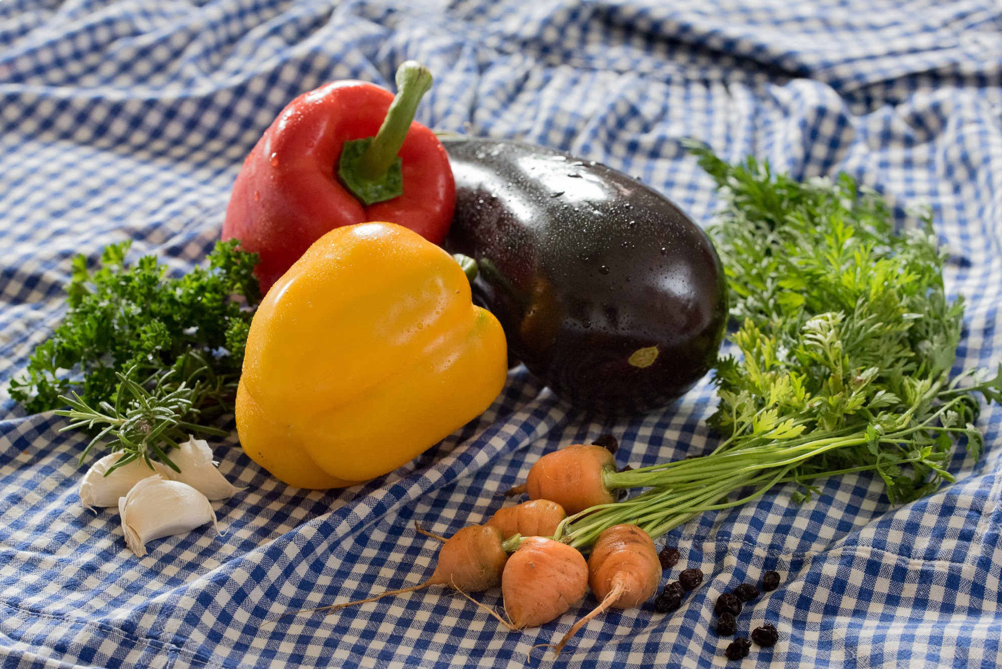 bild-babara-graf-genuss