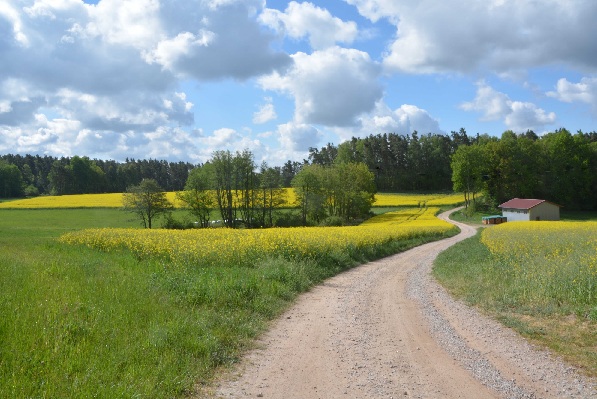 Oberpfalz (Teil 1)